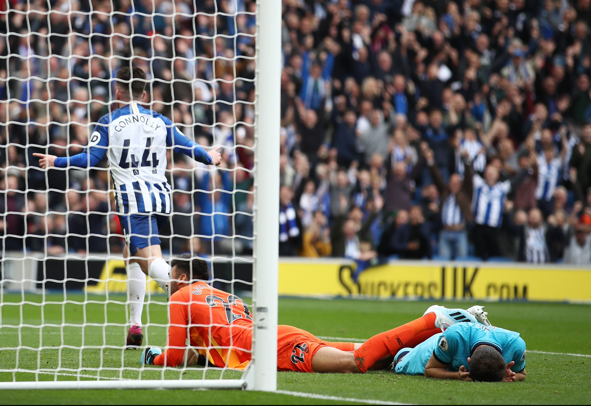 滑雪和定向 滑雪和定向