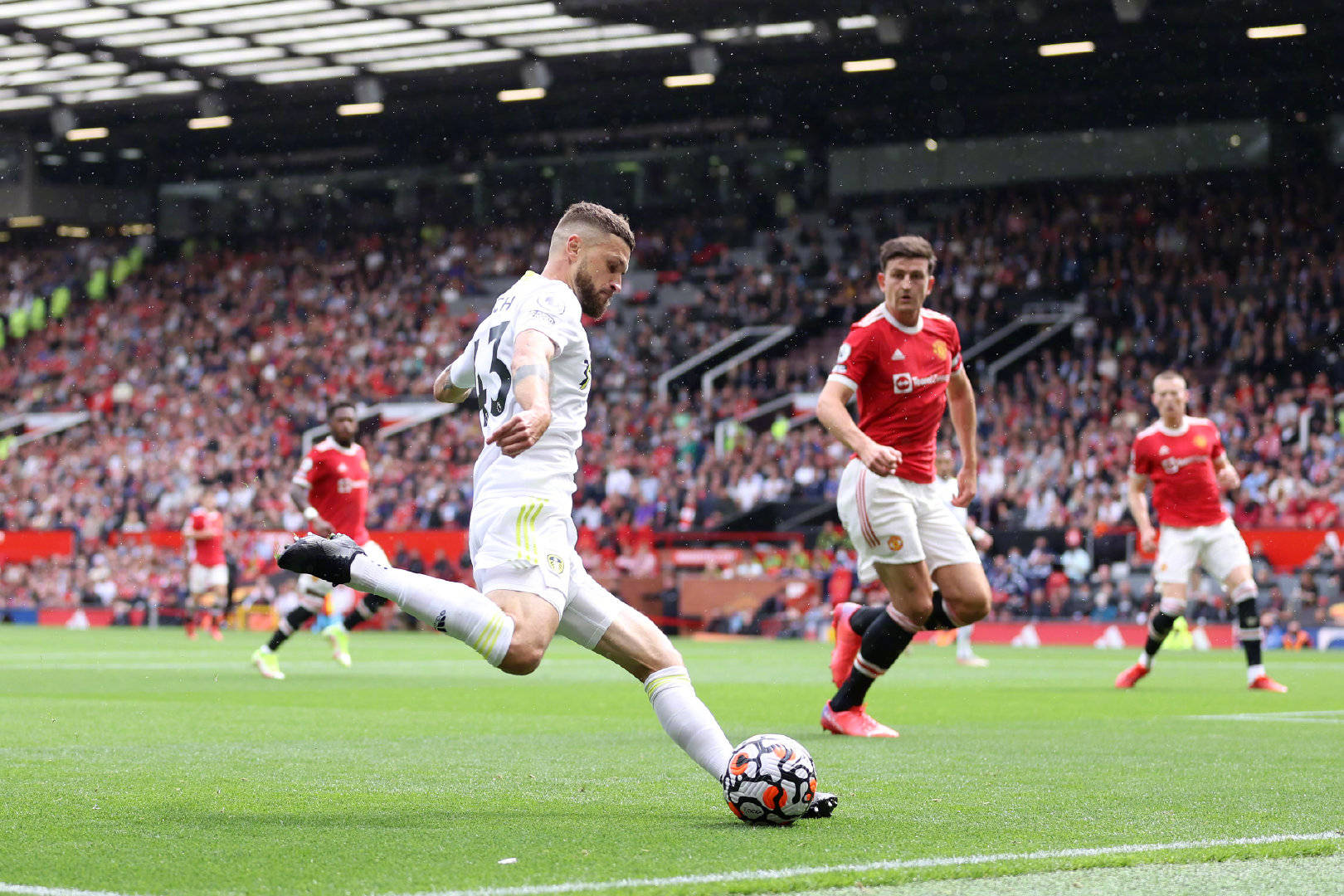 也为整个足 也为整个足